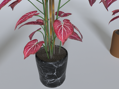 Pot Tropical Plant 2 Model 3D