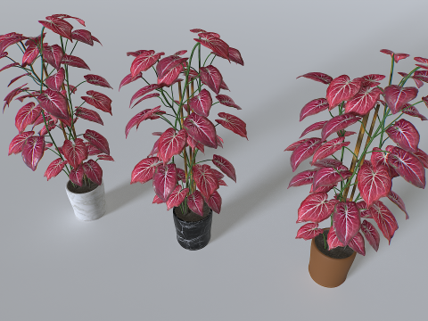 Pot Tropical Plant 2 Model 3D