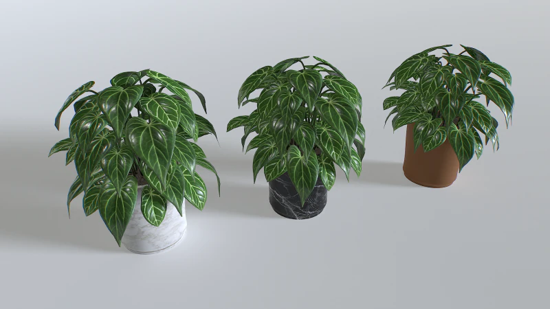 Pot Tropical Plant 3 3D Model .c4d .max .obj .3ds .fbx .stl .blend