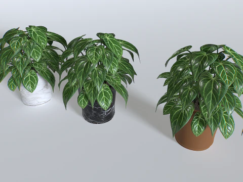 Pot Tropical Plant 3 3D Model