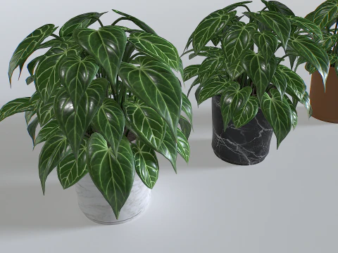 Pot Tropical Plant 3 3D Model