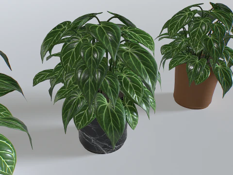 Pot Tropical Plant 3 3D Model