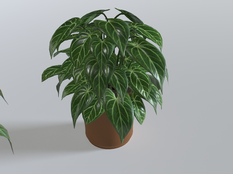 Pot Tropical Plant 3 Modèle 3D