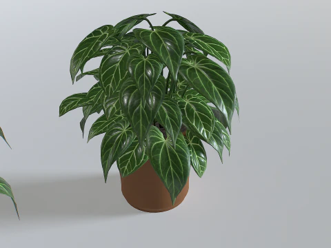 Pot Tropical Plant 3 3D Model