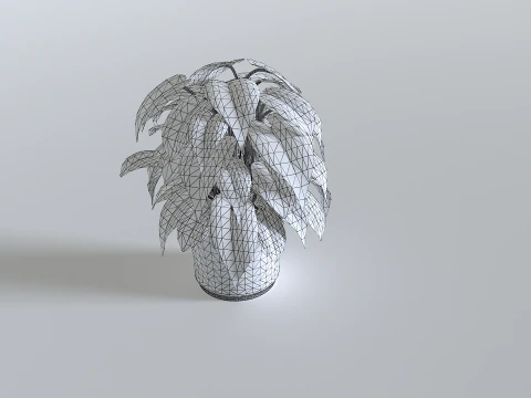 Pot Tropical Plant 3 3D Model