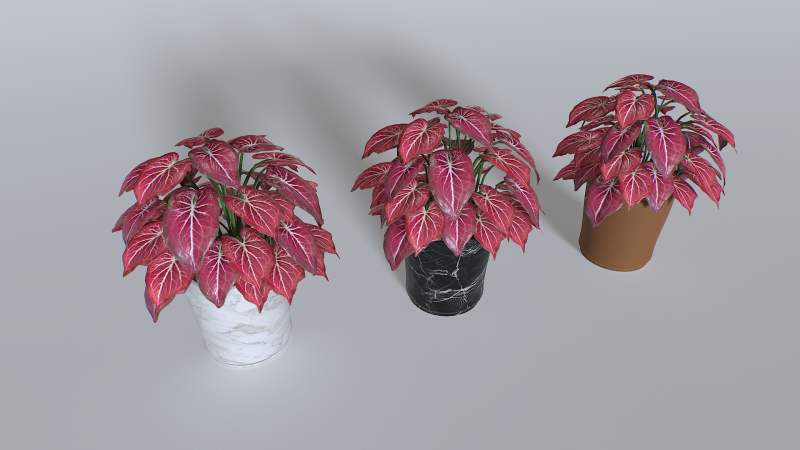 Pot Tropical Plant 4 3Dモデル .c4d .max .obj .3ds .fbx .stl .blend 