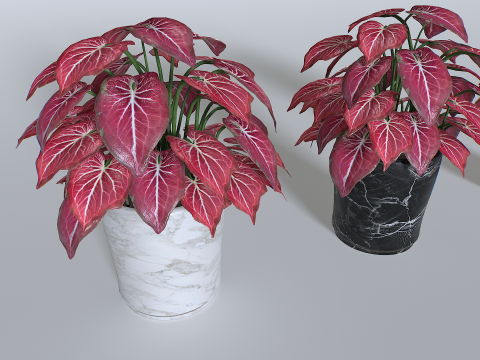 Pot Tropical Plant 4 3Dモデル