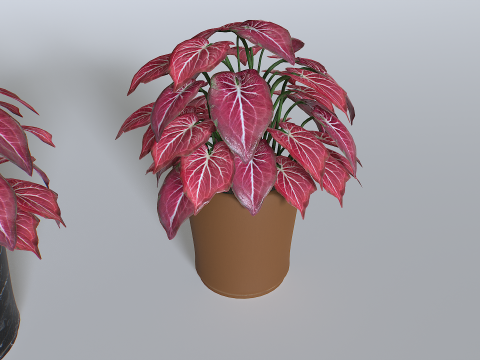 Pot Tropical Plant 4 3Dモデル
