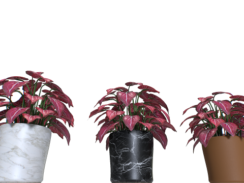 Pot Tropical Plant 4 3Dモデル