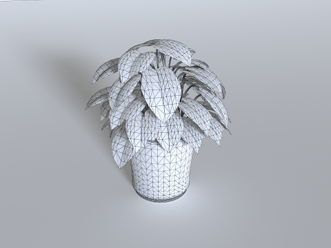 Pot Tropical Plant 4 3Dモデル