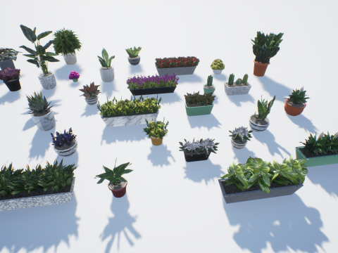 Low poly pot plants Modello 3D