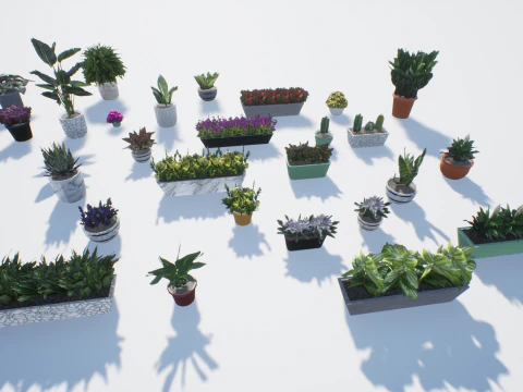 D&uuml;ş&uuml;k poli saksı bitkileri 3D Model