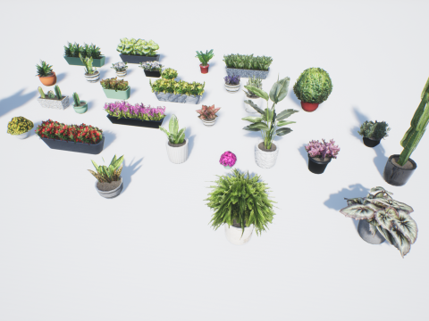 Low poly pot plants Modello 3D