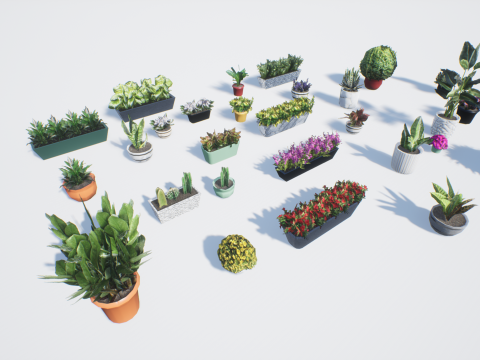 Low poly pot plants Modello 3D