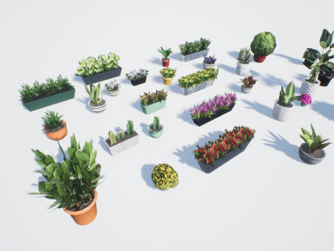 D&uuml;ş&uuml;k poli saksı bitkileri 3D Model