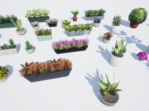 Low poly pot plants Modello 3D