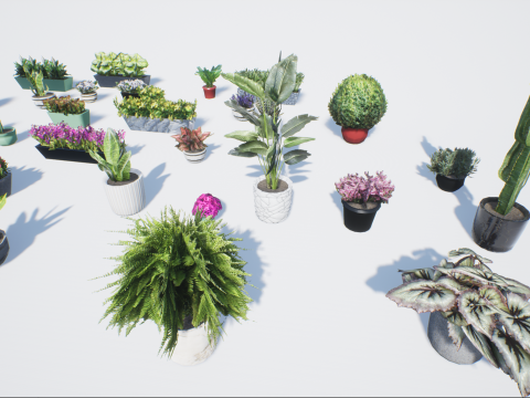 Low poly pot plants Modello 3D