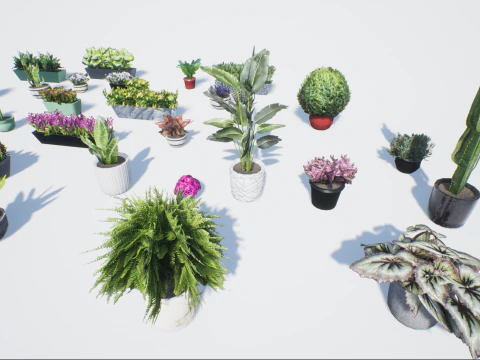 D&uuml;ş&uuml;k poli saksı bitkileri 3D Model