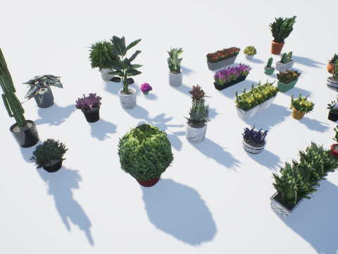 Low poly pot plants Modello 3D