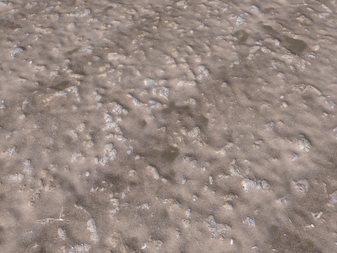 Dirty sand terrain PBR pack 3 Textures CG テクスチャ