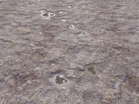 Dirty sand terrain PBR pack 3 Textures CG テクスチャ