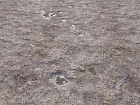 Dirty sand terrain PBR pack 3 Textures CG Textures