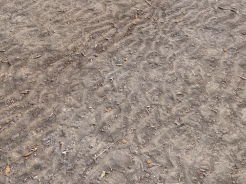 Dirty sand terrain PBR pack 3 Textures CG テクスチャ