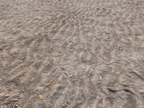 Dirty sand terrain PBR pack 3 Textures CG Textures
