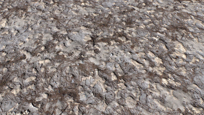 Dirty and rough terrain 1 CG Textures .c4d .max .obj .3ds .fbx .stl .blend