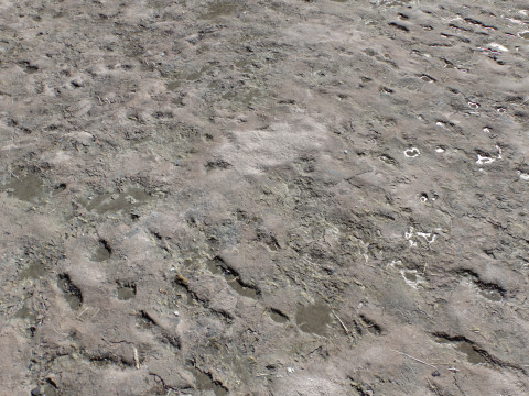 Dirty and rough terrain 1 CG Texturen