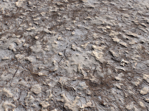Dirty and rough terrain 1 CG Texturen