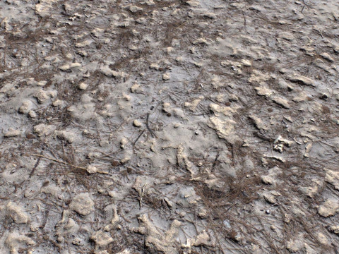 Dirty and rough terrain 1 CG Textures
