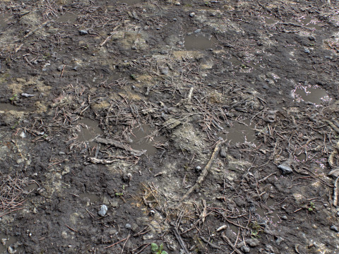 Dirty and rough terrain 1 CG Texturen