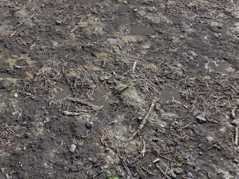 Dirty and rough terrain 1 CG Textures