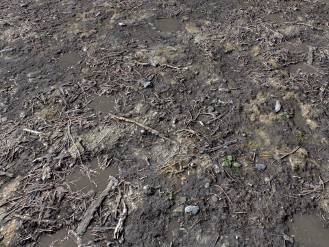 Dirty and rough terrain 1 CG Texturen