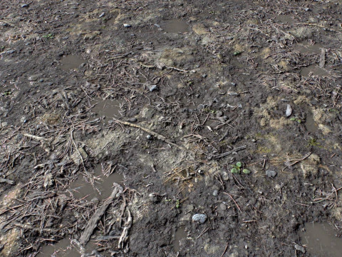 Dirty and rough terrain 1 CG Textures