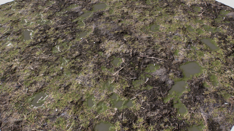 Ground terrain rough forest PBR pack 2 Texturas CG .c4d .max .obj .3ds .fbx .stl .blend
