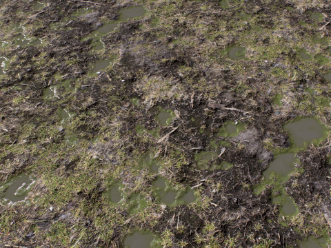 Ground terrain rough forest PBR pack 2 CG टेक्स्चर्स