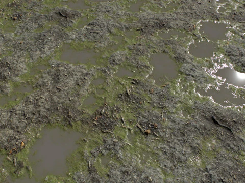 Ground terrain rough forest PBR pack 2 CG Textures