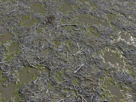 Ground terrain rough forest PBR pack 2 CG Textures