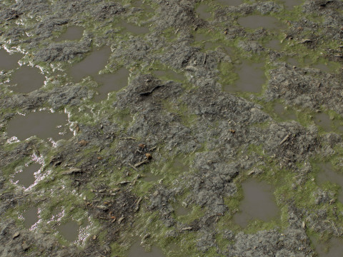 Ground terrain rough forest PBR pack 2 Texturas CG