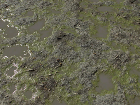 Ground terrain rough forest PBR pack 2 CG Textures