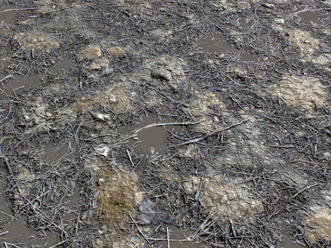 Ground terrain rough forest PBR pack 2 Texturas CG