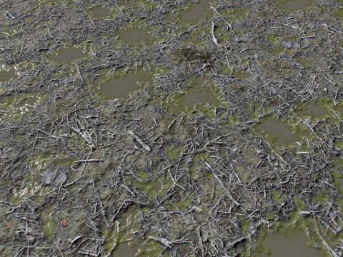 Ground terrain rough forest PBR pack 2 Texturas CG