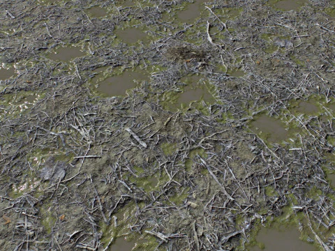 Ground terrain rough forest PBR pack 2 CG Textures