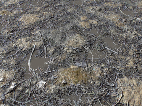 Ground terrain rough forest PBR pack 2 Texturas CG
