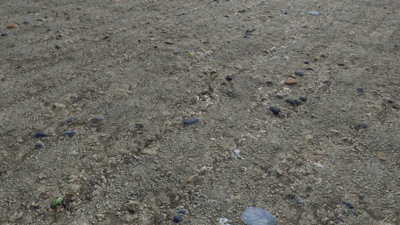 Muddy terrain and puddles 4 PBR CG テクスチャ .c4d .max .obj .3ds .fbx .stl .blend 