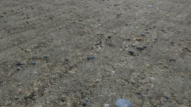 Muddy terrain and puddles 4 PBR CG Textures .c4d .max .obj .3ds .fbx .stl .blend 