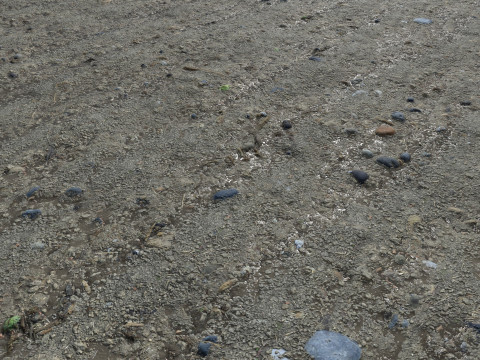 Muddy terrain and puddles 4 PBR CG Textures