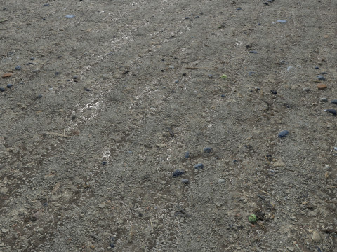 Muddy terrain and puddles 4 PBR CG テクスチャ
